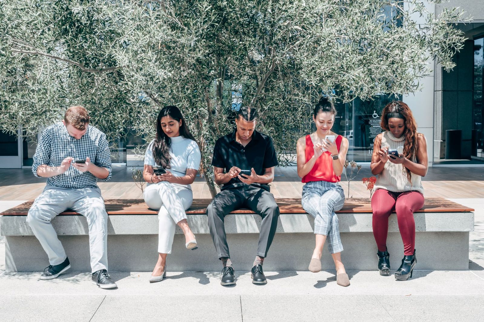 Five people sitting in a row on an outdoor bench, each absorbed in their own phone, an olive tree behind them