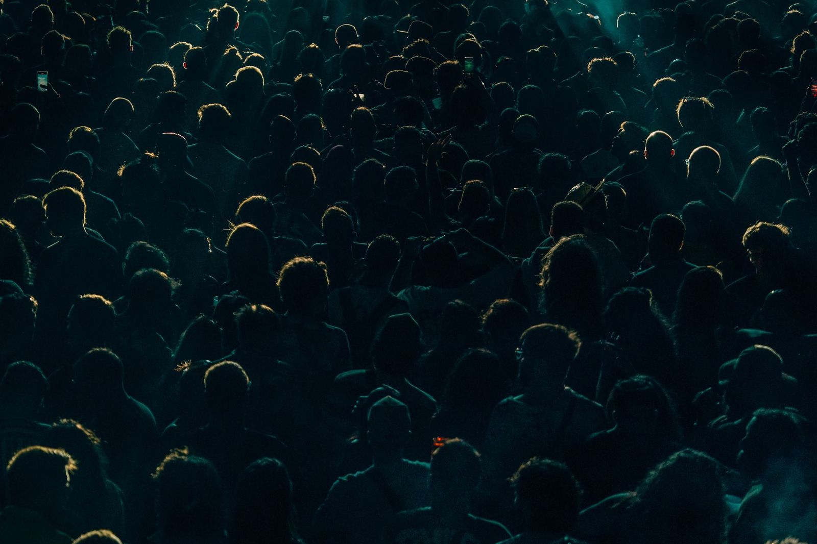 A dense crowd of people photographed from behind at night, hundreds of heads rim-lit against near darkness